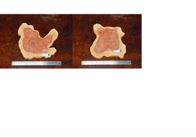 画像をギャラリービューアに読み込む, <光蘇>プレート Ver.2