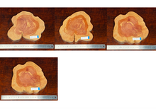 画像をギャラリービューアに読み込む, <光蘇>プレート Ver.2