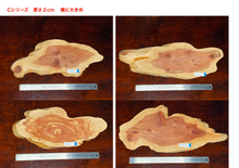 画像をギャラリービューアに読み込む, <光蘇>プレート Ver.2