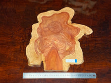 画像をギャラリービューアに読み込む, <光蘇>プレート Ver.2