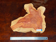 画像をギャラリービューアに読み込む, <光蘇>プレート Ver.2