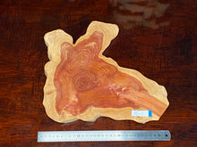 画像をギャラリービューアに読み込む, <光蘇>プレート Ver.2