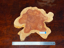 画像をギャラリービューアに読み込む, <光蘇>プレート Ver.2