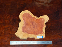 画像をギャラリービューアに読み込む, <光蘇>プレート Ver.2