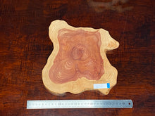 画像をギャラリービューアに読み込む, <光蘇>プレート Ver.2