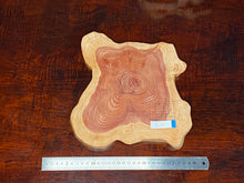 画像をギャラリービューアに読み込む, <光蘇>プレート Ver.2