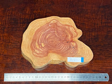 画像をギャラリービューアに読み込む, <光蘇>プレート Ver.2