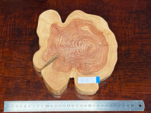 画像をギャラリービューアに読み込む, <光蘇>プレート Ver.2