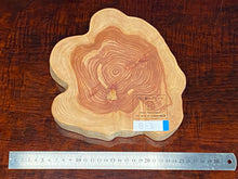 画像をギャラリービューアに読み込む, <光蘇>プレート Ver.2