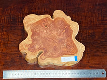 画像をギャラリービューアに読み込む, <光蘇>プレート Ver.2