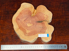 画像をギャラリービューアに読み込む, <光蘇>プレート Ver.2