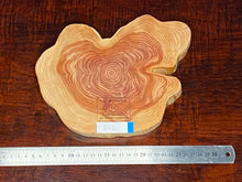 画像をギャラリービューアに読み込む, <光蘇>プレート Ver.2