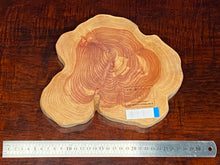 画像をギャラリービューアに読み込む, <光蘇>プレート Ver.2