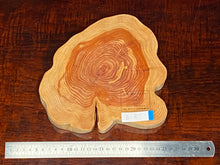 画像をギャラリービューアに読み込む, <光蘇>プレート Ver.2