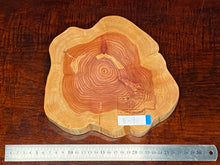 画像をギャラリービューアに読み込む, <光蘇>プレート Ver.2