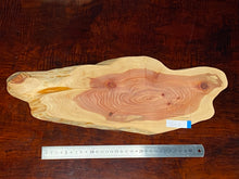 画像をギャラリービューアに読み込む, <光蘇>プレート Ver.2