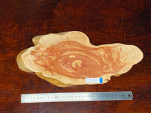 画像をギャラリービューアに読み込む, <光蘇>プレート Ver.2