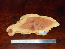 画像をギャラリービューアに読み込む, <光蘇>プレート Ver.2