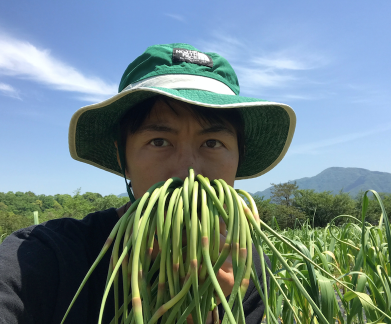 にんにくの芽販売開始します♪